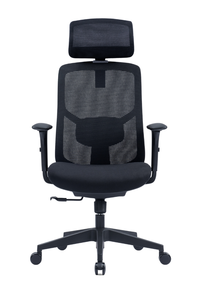 YNG Office Chair, Stylish Y-Frame Design with Full Ergonomic Adjustability