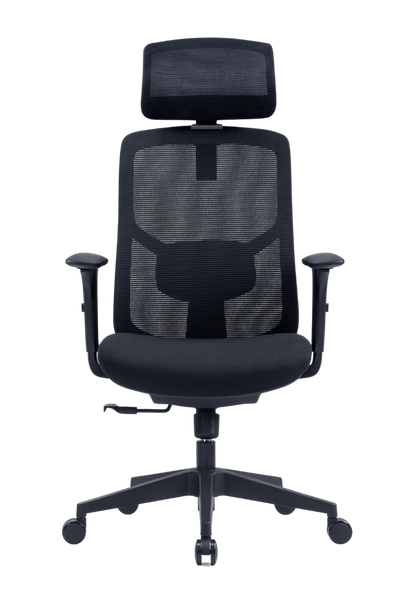 YNG Office Chair, Stylish Y-Frame Design with Full Ergonomic Adjustability